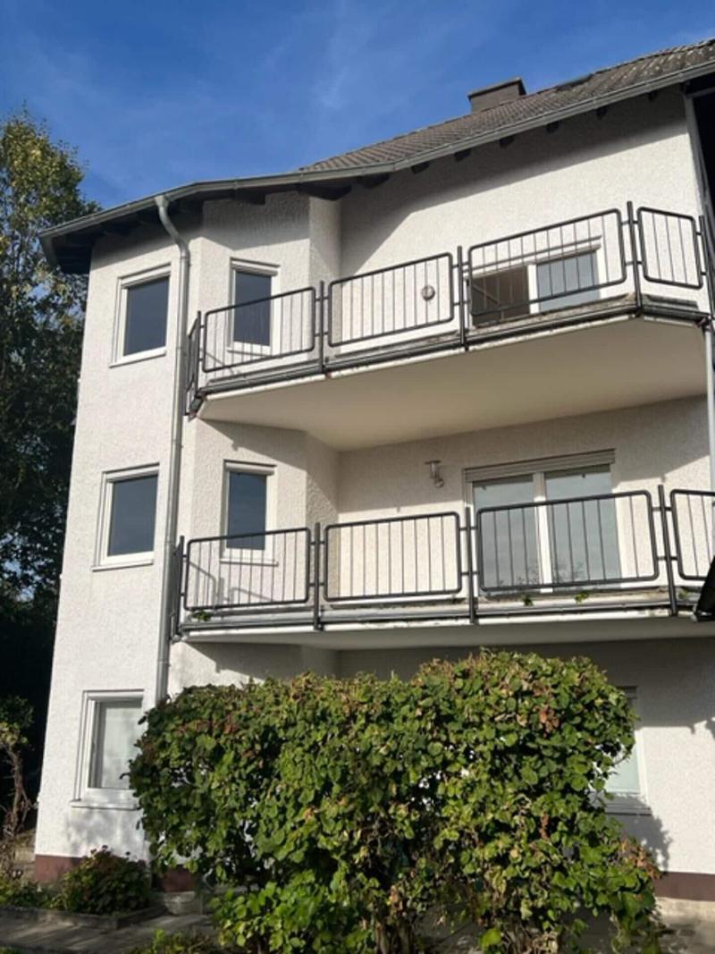 Rheinview Urbar Haus image