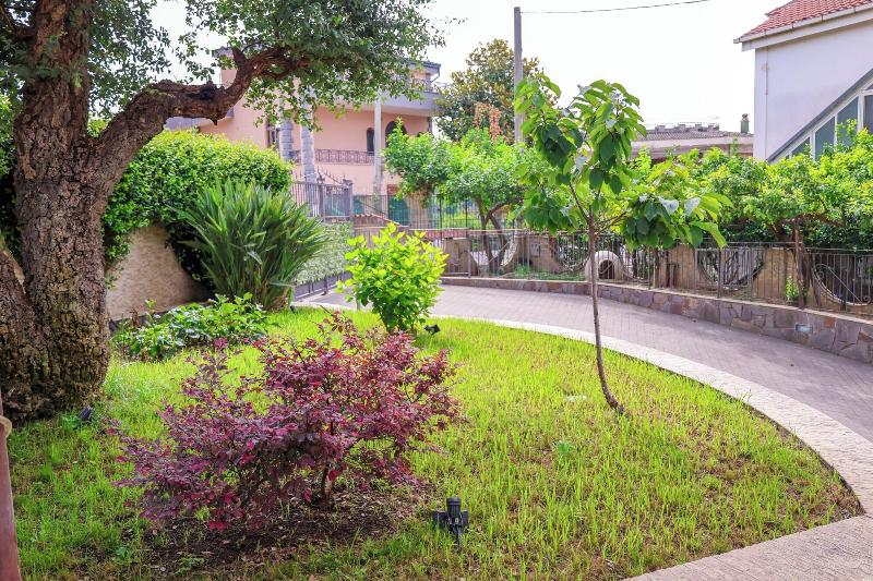 Villa Elisabetta image