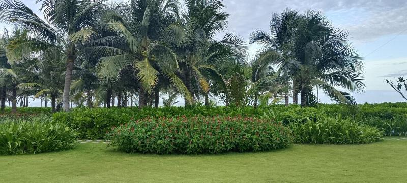 The Western Seaview Cam Ranh Condotel image