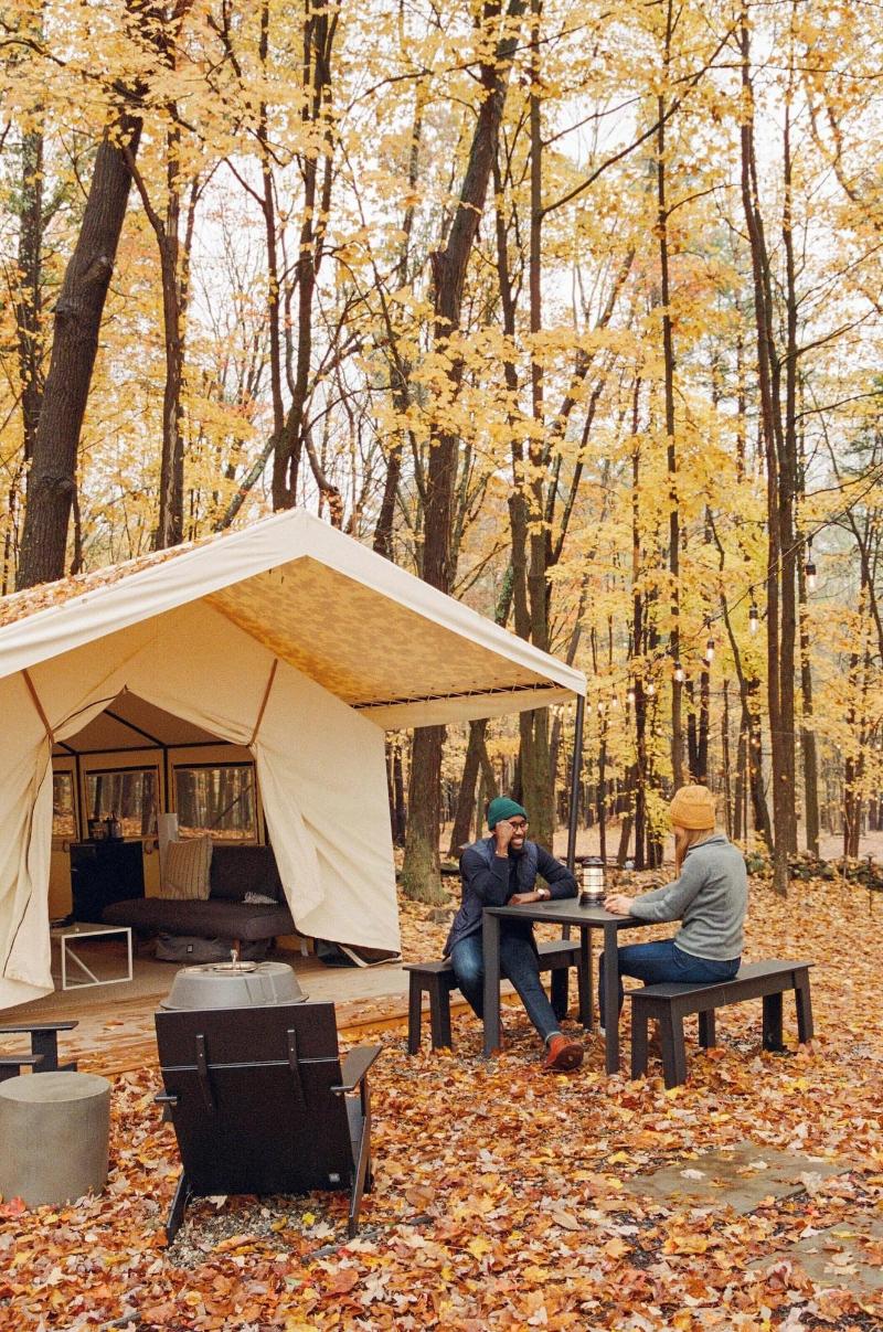 Autocamp Sequoia image