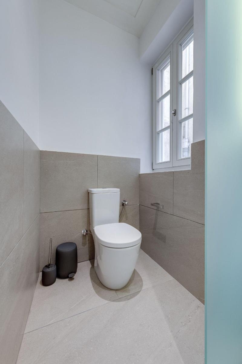 Skylight image