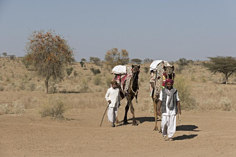 Manva R Kumat Thar Serenity Camp