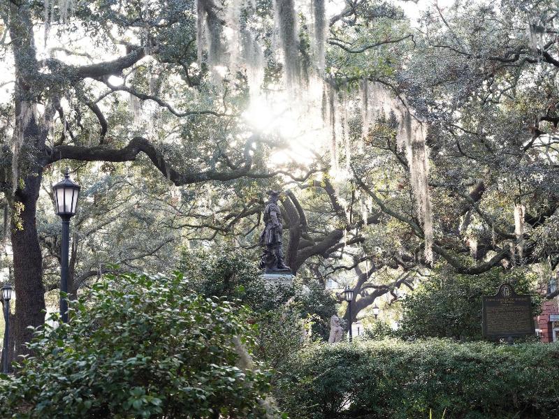 Kasa Jules Savannah image