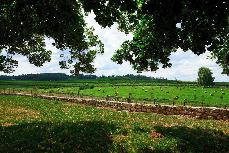 Domaine De Badine image