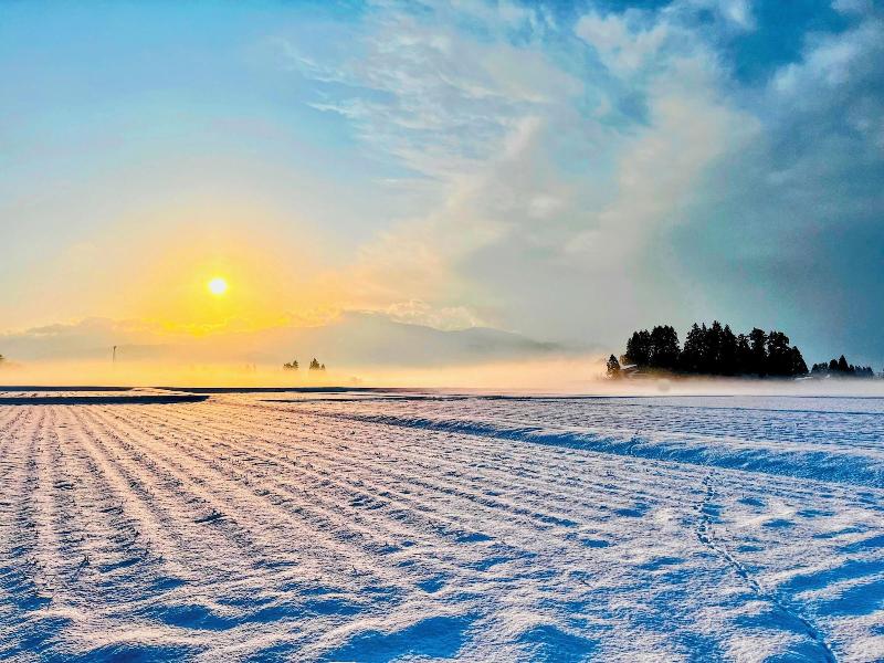 Farm To Table Norichie image