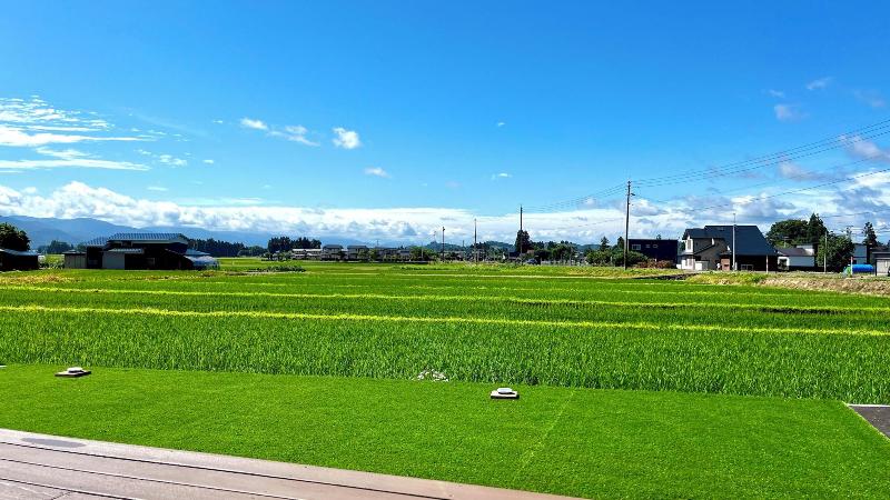 Farm To Table Norichie image