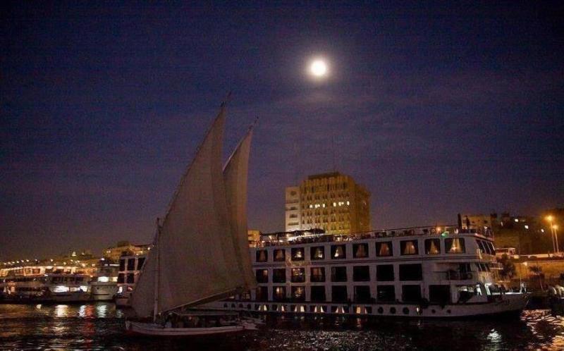 Nubian Oasis Hotel Aswan image