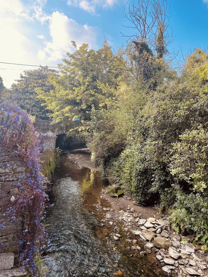 Creek View Cottage Little Petherick 2 Bedrooms image