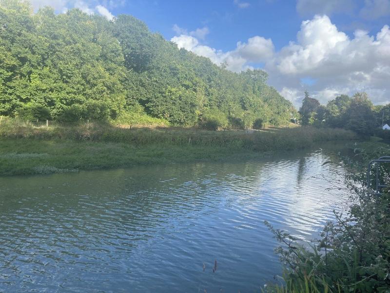 Creek View Cottage Little Petherick 2 Bedrooms image