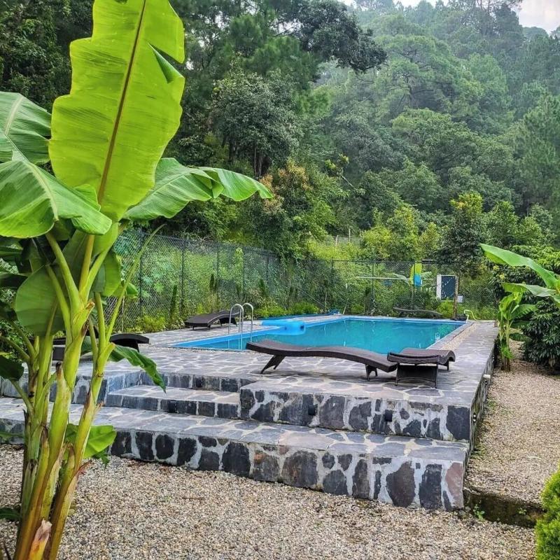 The Cozy Acorn Resort image