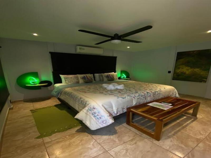 Parti Gras Hotel Villas En Potrero image