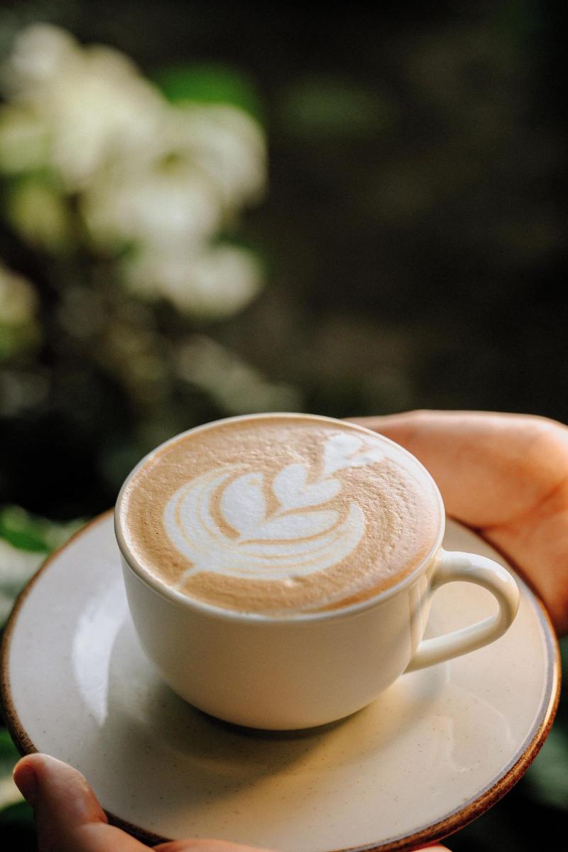 Bonding Coffee Roaster Cafa Hotel image