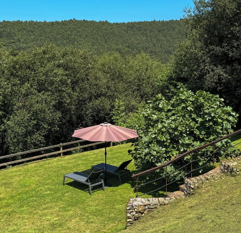 Apartamentos Corona image
