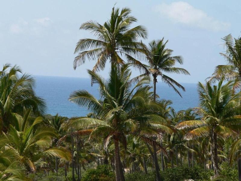 Blue Moon Beach Holiday Resort image