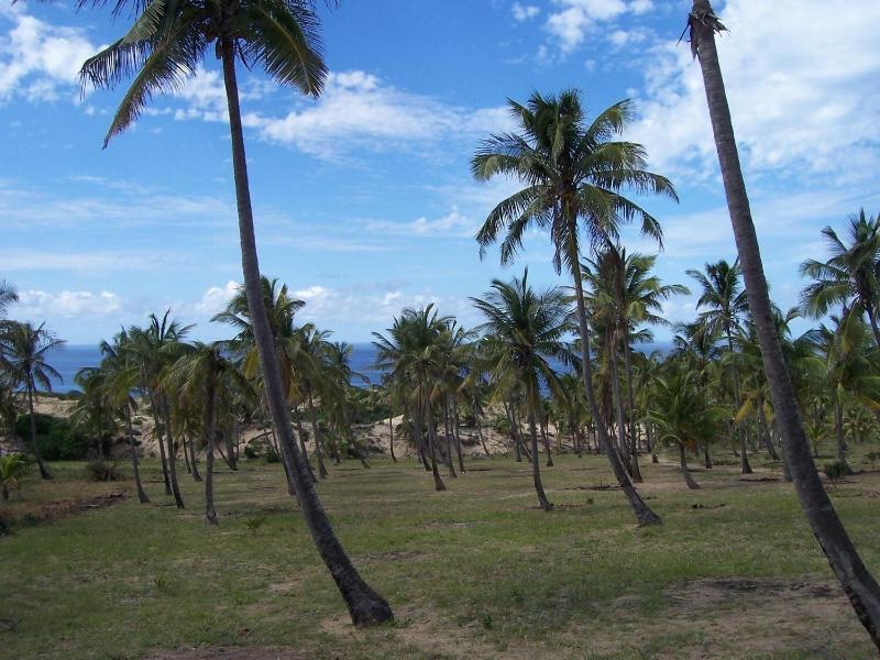 Blue Moon Beach Holiday Resort image