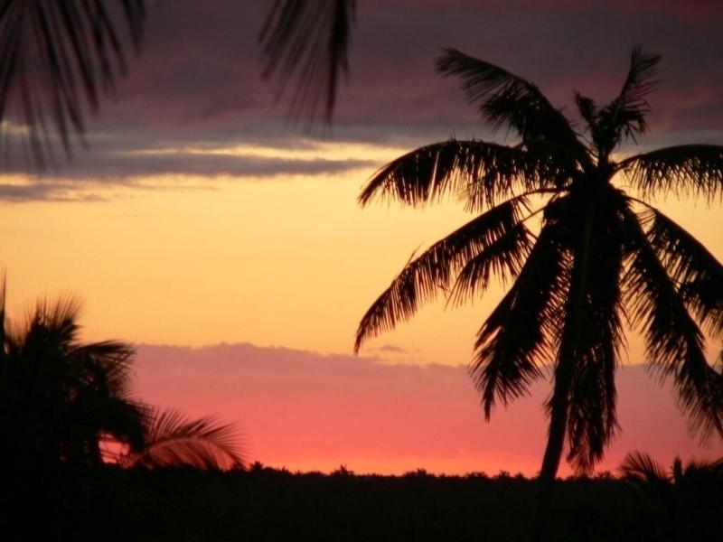 Blue Moon Beach Holiday Resort image