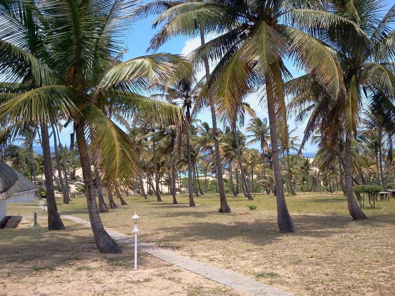 Blue Moon Beach Holiday Resort image