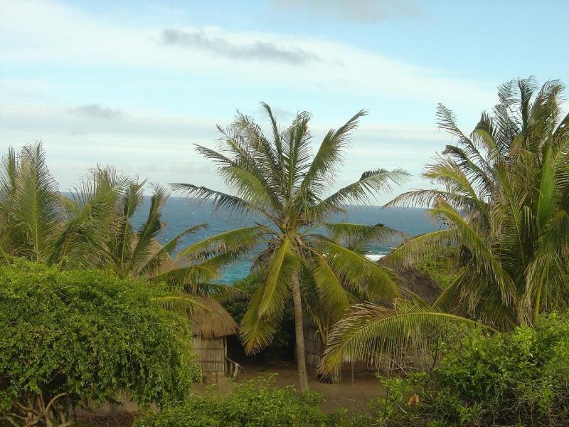 Blue Moon Beach Holiday Resort image