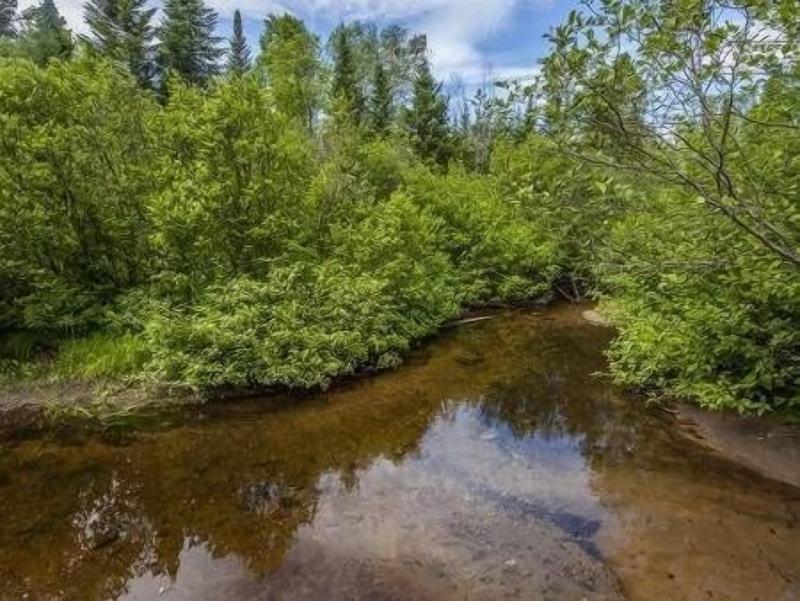 Le Bois Rond Des Ruisseaux