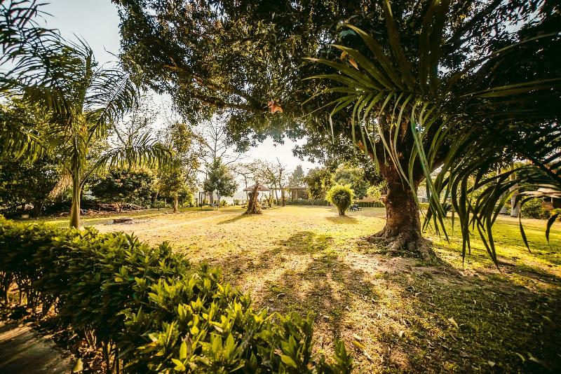 Into The Wild Eco Resort image