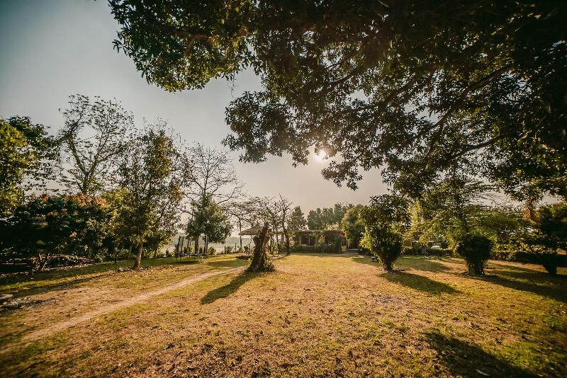 Into The Wild Eco Resort image