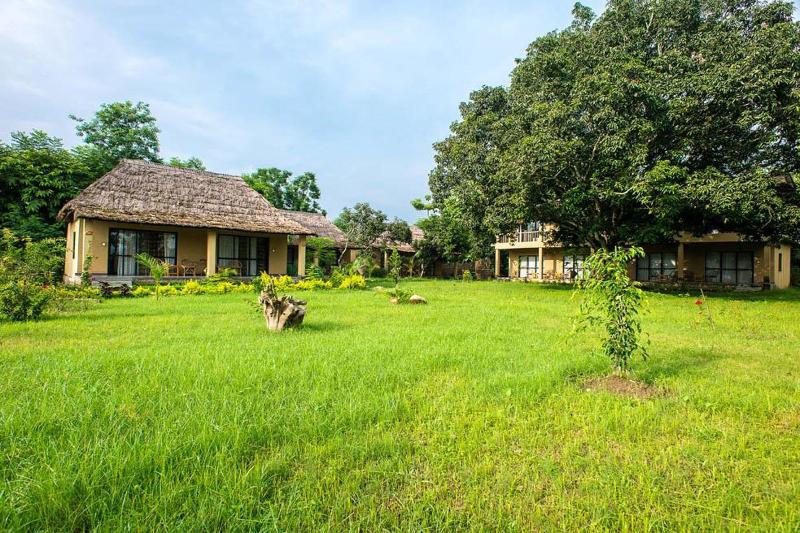 Into The Wild Eco Resort image