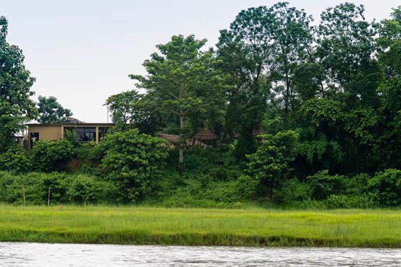 Into The Wild Eco Resort image