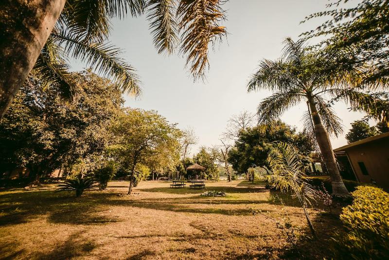 Into The Wild Eco Resort image