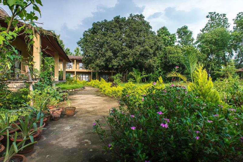 Into The Wild Eco Resort image