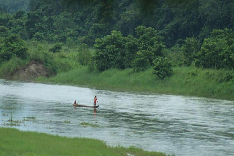Into The Wild Eco Resort image