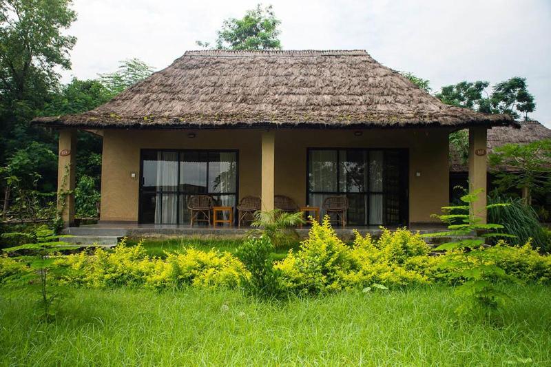 Into The Wild Eco Resort image