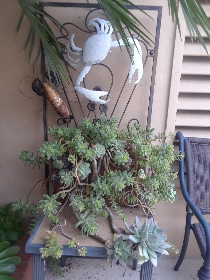 Los Gatos Garden Inn Hotel image