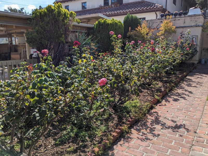 Los Gatos Garden Inn Hotel image