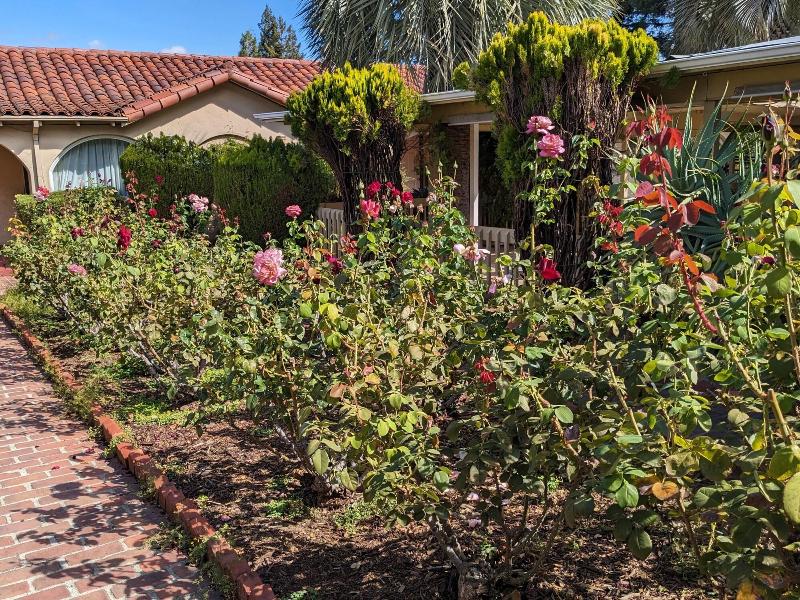 Los Gatos Garden Inn Hotel image