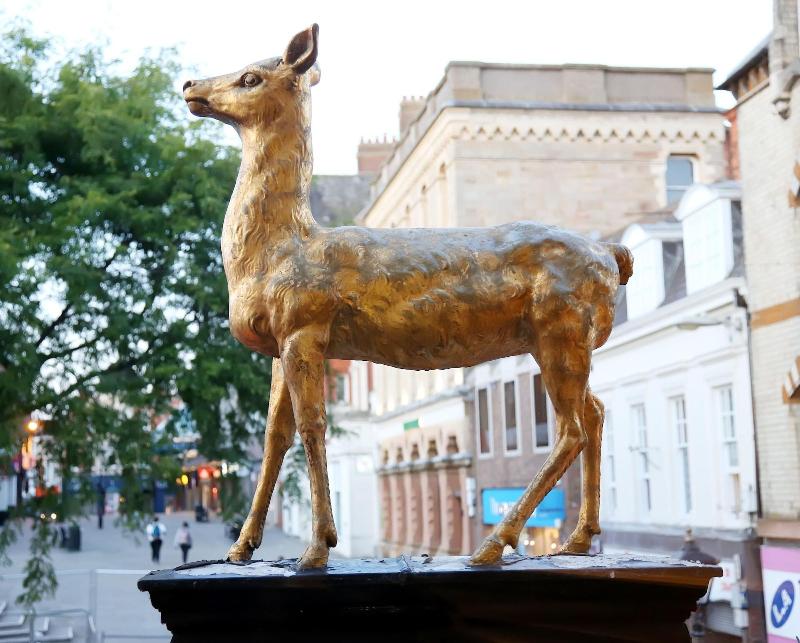 The Hind Hotel image