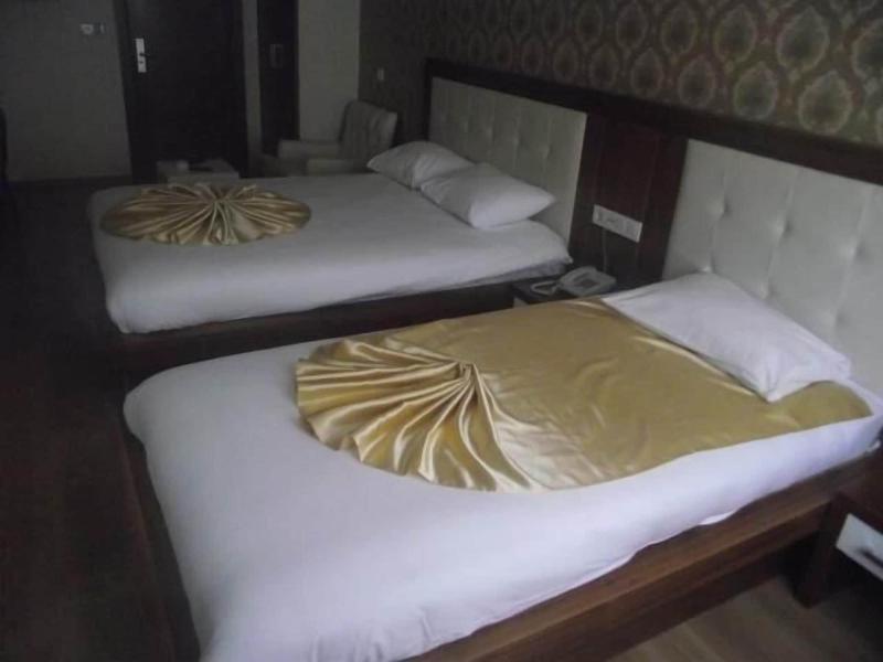 Savis Otel image