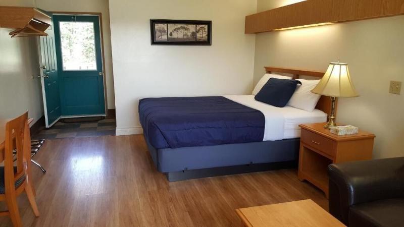 Pines Motel image