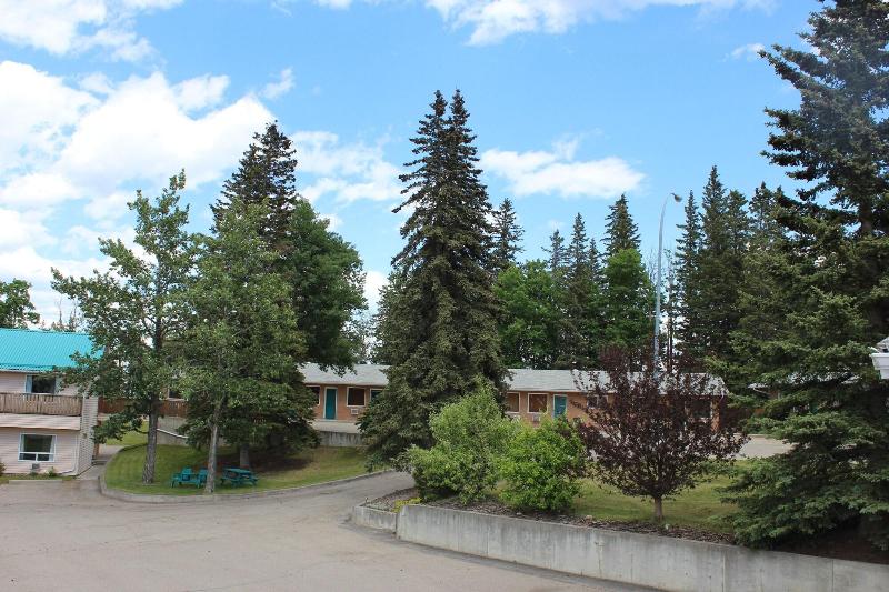 Pines Motel image