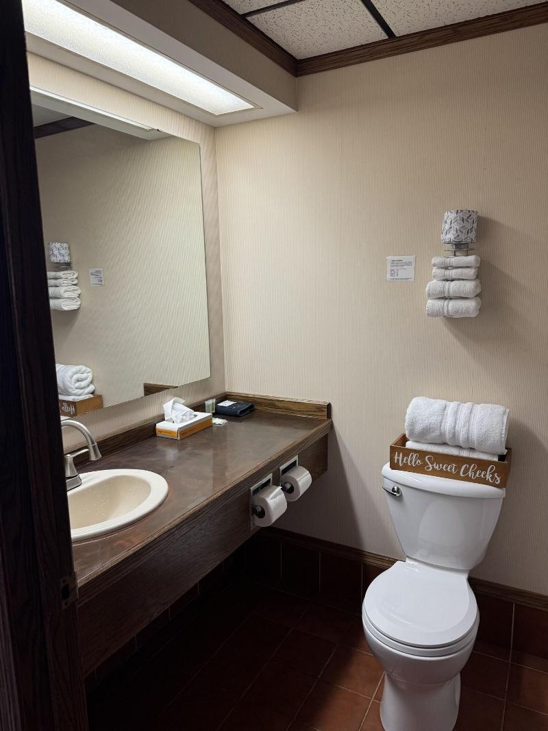 Fenway House Hotel image