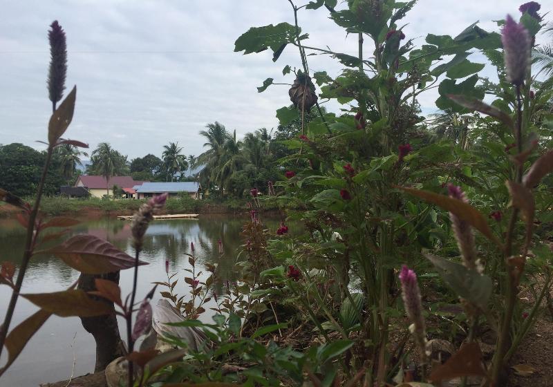 Bakau Hijau Riverlodge Hostel image