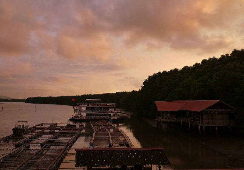 Bakau Hijau Riverlodge Hostel image