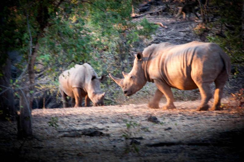Woodlands Lodge Tours image