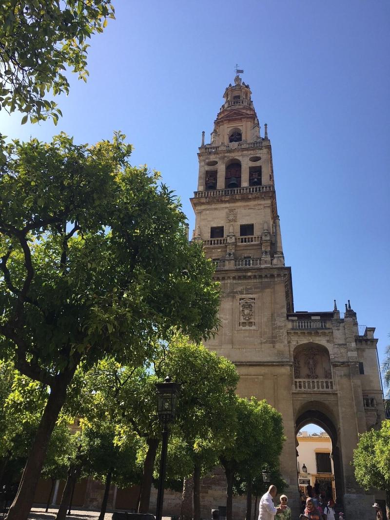 Patio De La Plateria image