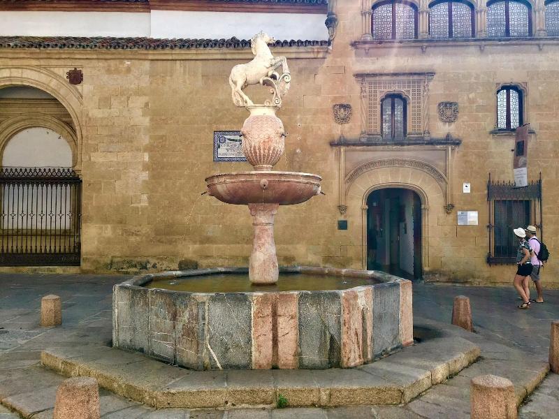 Patio De La Plateria image