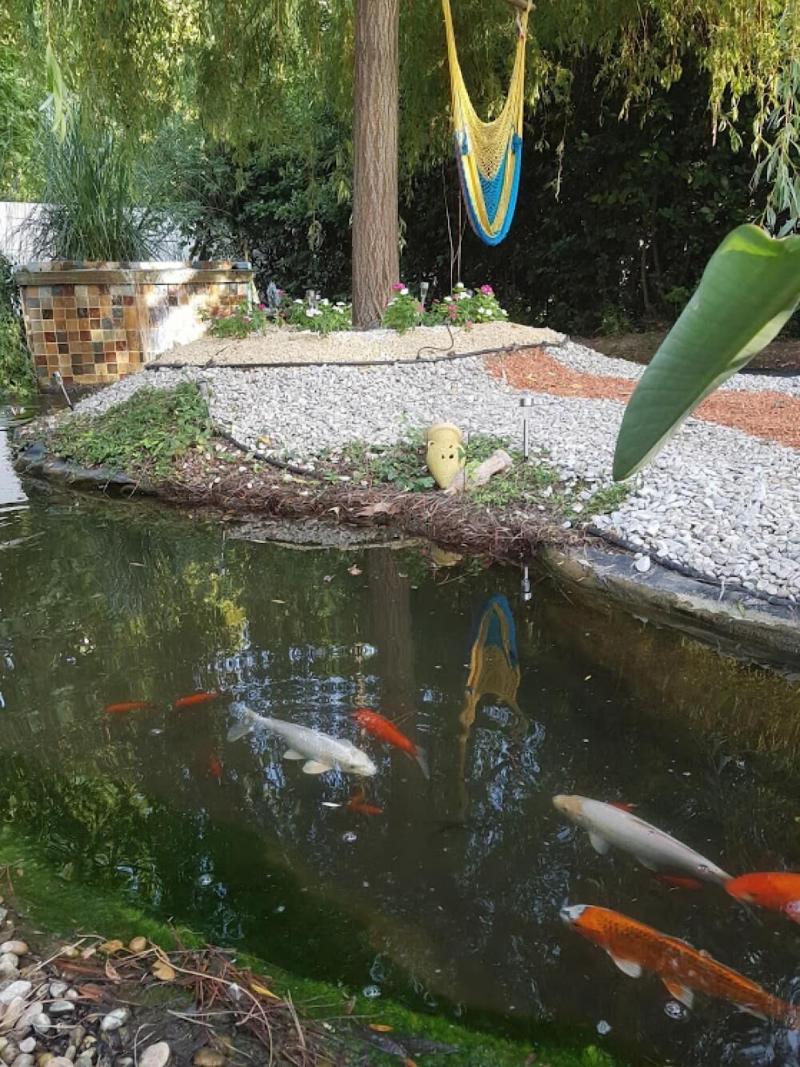 La Villa Des Sens image