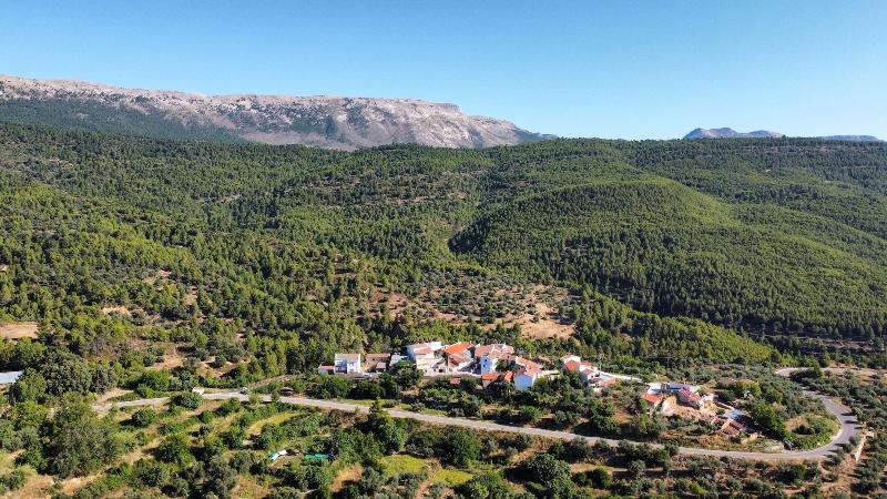 Casas Rurales La Tejeruela — general view