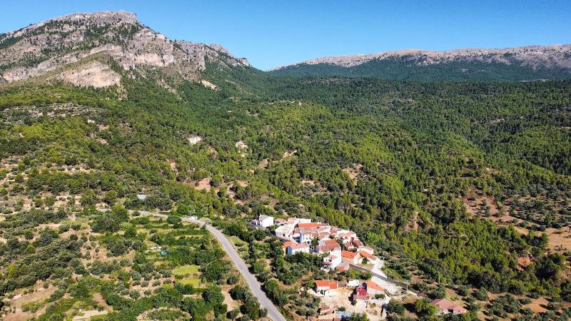 Casas Rurales La Tejeruela — general view