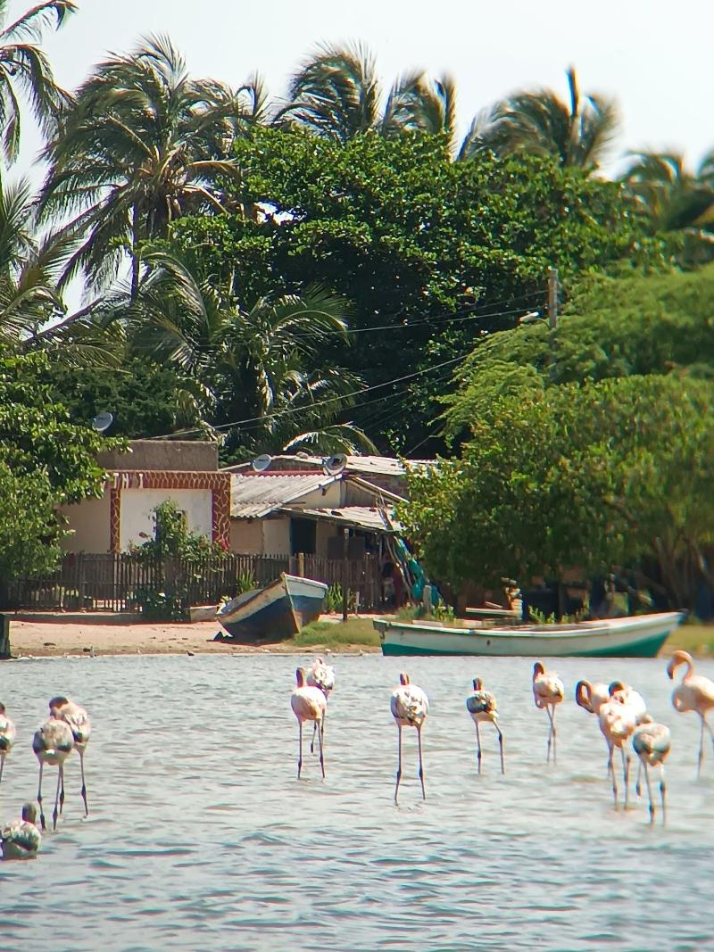 Hotel Monaco De Riohacha image