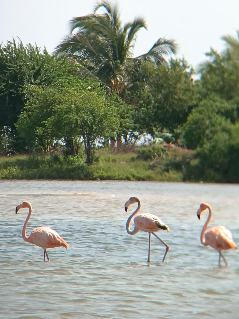 Hotel Monaco De Riohacha image