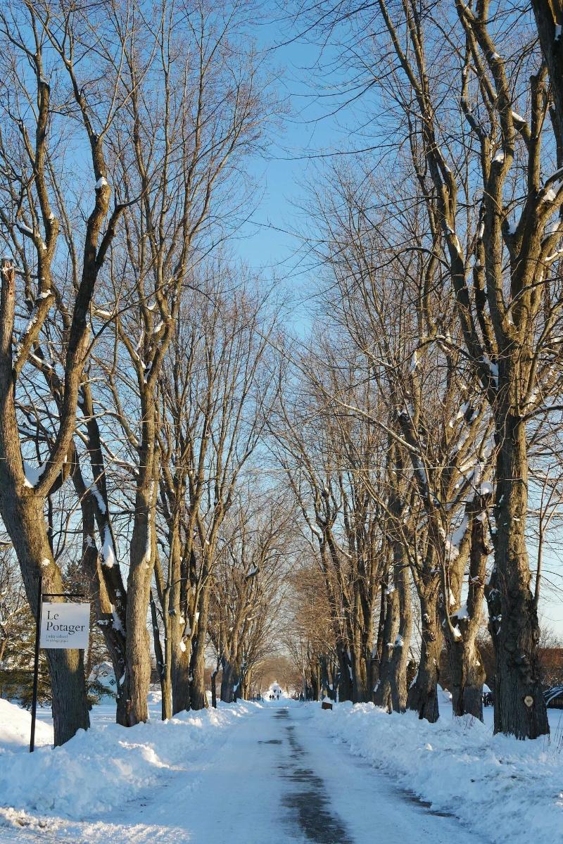 Auberge De Jeunesse Des Balcons